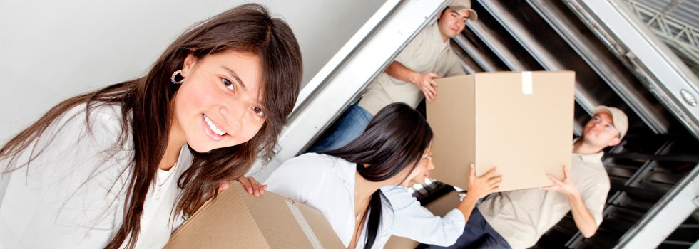 Professional Removalists Langley QLD